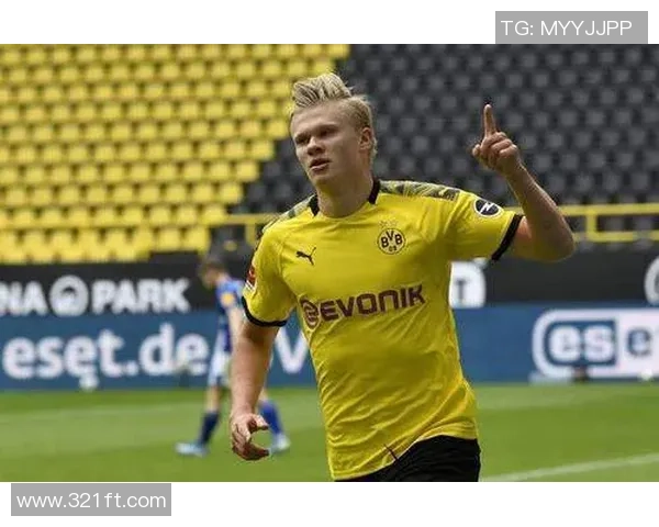 聚焦世界足球明星成长之路与场内外影响力深度观察全方位解析故事